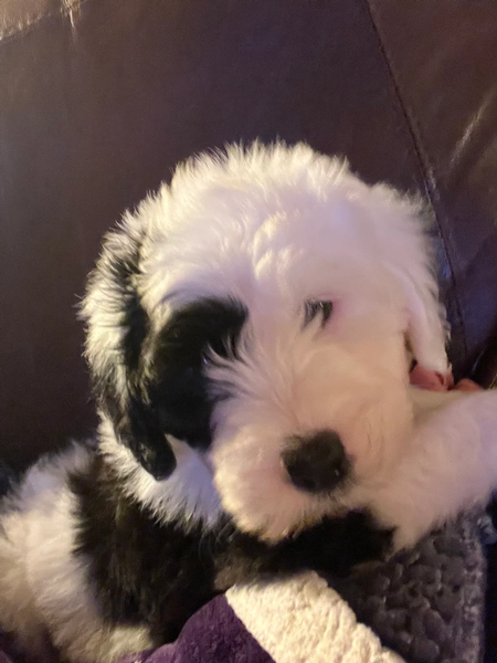 Karen and Steve Waite